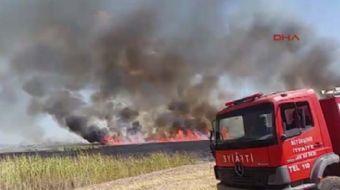 Ankara'nın Gölbaşı İlçesinde bulunan Mogan Gölü kenarındaki sazlık alanda yangın çıktı.