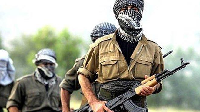 Üst düzey PKK yöneticisi öldürüldü