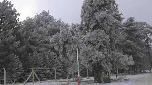 sarıkamış kar ile ilgili görsel sonucu