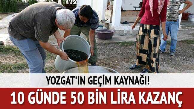 Yozgat'�n ge�im kayna��! 10 g�nde 50 bin liral�k kazan�