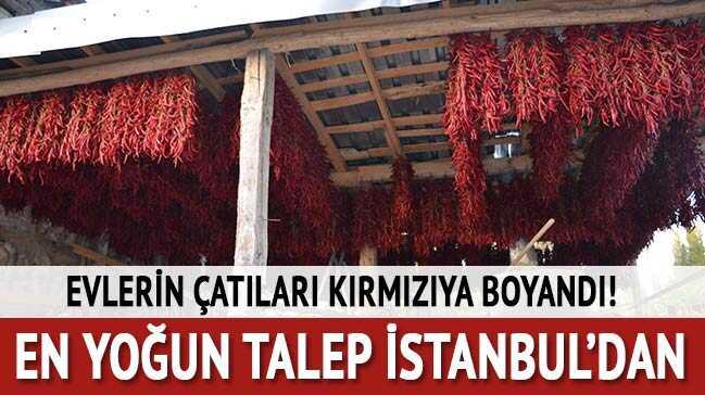 Bu k�yde senede 100 ton pul biber �retiliyor