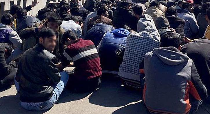 Muğla'da 23 kaçak göçmen yakalandı