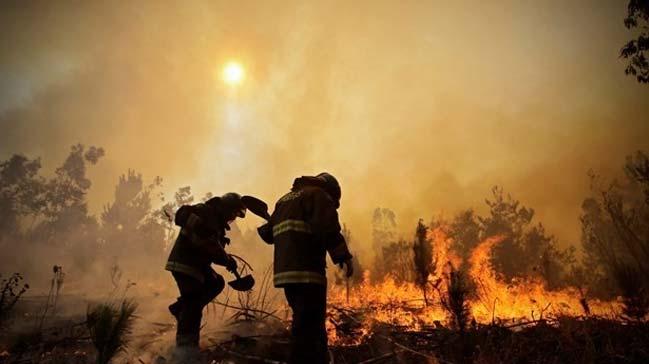 Etiyopya'nın güneyinde bulunan Sheka Ormanı'nda ki yangın cuma gününden bu