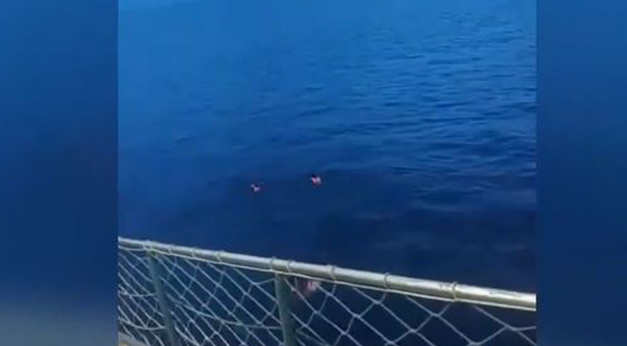 Feribotta virüs olduğunu duydular, denize atladılar!