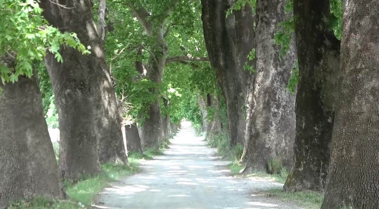 Güzelliğiyle kendine hayran bırakan yola yürümek için geliyorlar