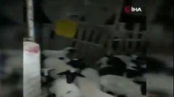 <p>Manisa´nın Kırkağaç ilçesine bağlı Karakurt Mahallesinde saat 19.09´da meydana gelen 5.2´lik büyü