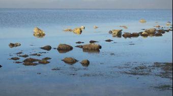 <p>Burhaniye ilçesinin 2 kilometre batısındaki Karataş mevkisinde, tepelerden başlayarak geniş bir a