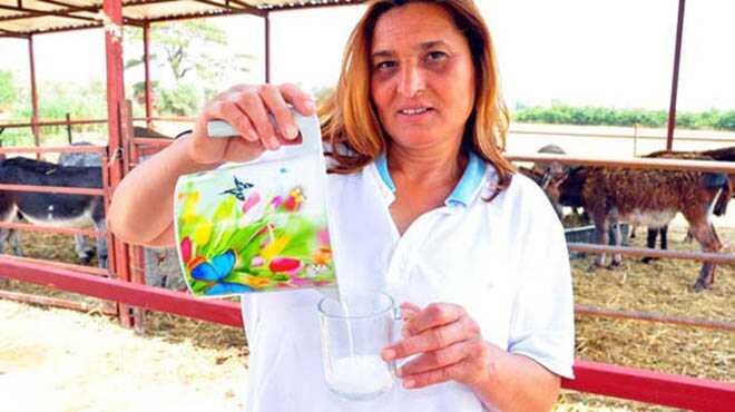 Eşek sütüne inanılmaz talep! Siparişleri yetiştiremiyor