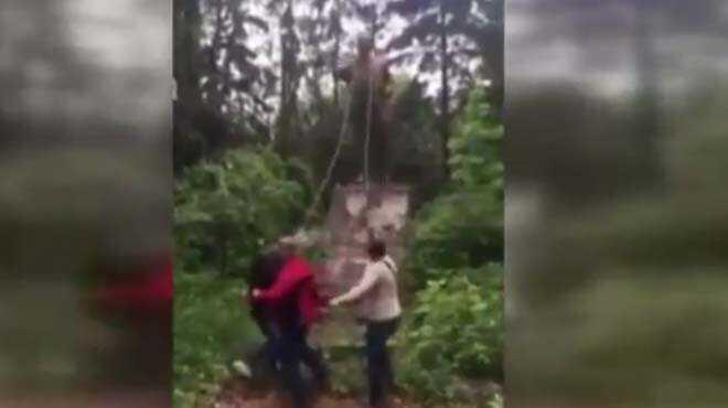 Ukrayna'daki son Lenin heykeli de yıkıldı