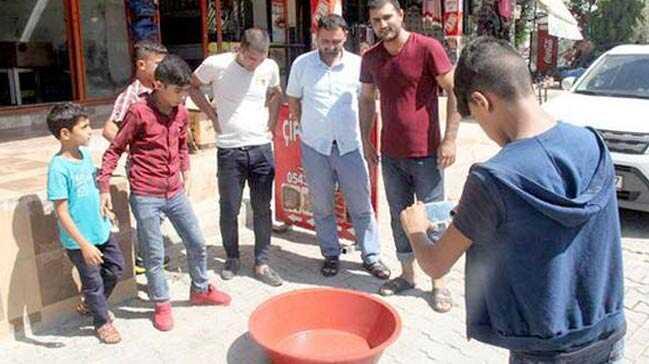 Şanlıurfa'da nesli tükenmekte olan Urfa Keleri olarak adlandırılan bir canlı türünü yakaladı