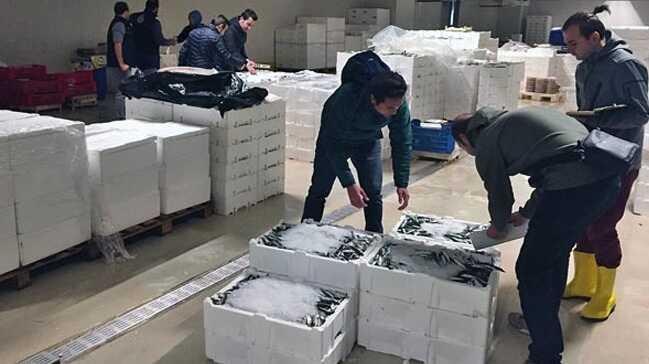Denetimlerde 22 ton balığa el konuldu