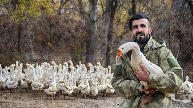 Aradığı işi bulamayınca kaz çiftliği kurdu