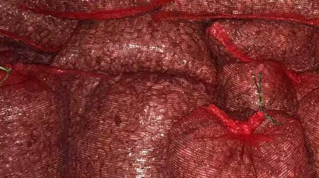Bursa'da kaçak avlanan 1 ton 300 kilogram midye ele geçirildi