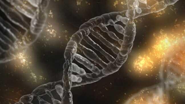 Hematoloji Uzmanı Ovalı: Genetik hastalıkları düzeltebilmek artık hayal olmanın ötesinde