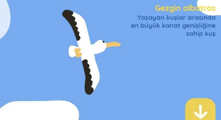 Dünya Günü ilk bakın nerede kutlanmış! Dünya Günü Doodle oldu!