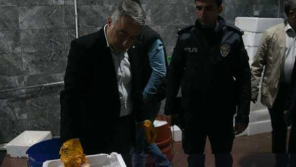 Kayseri'de 15 ton kaçak balık ele geçirildi