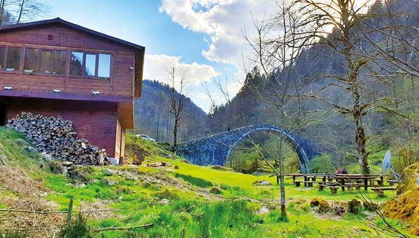 Çay kokulu memleket: Rize