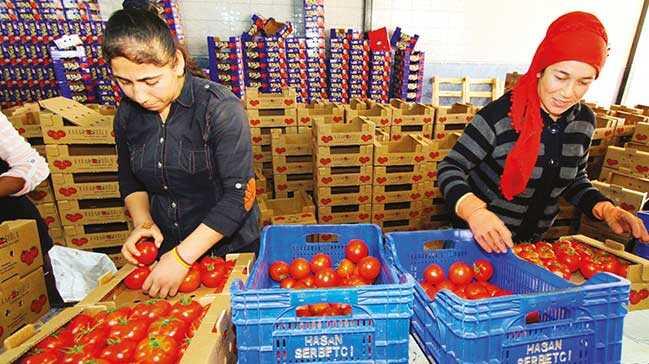 '40 milyar dolarlık tarım ihracatı yapabiliriz'
