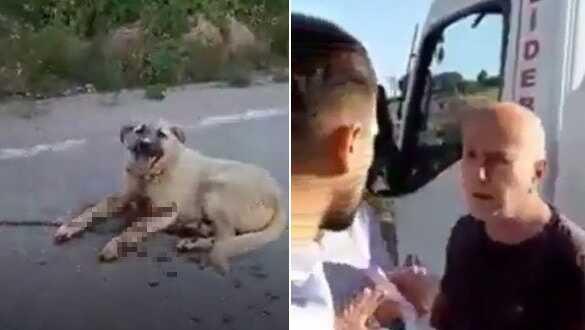 Komşuların tavuklarına saldırdı diye köpeğini çekicinin arkasında sürükledi