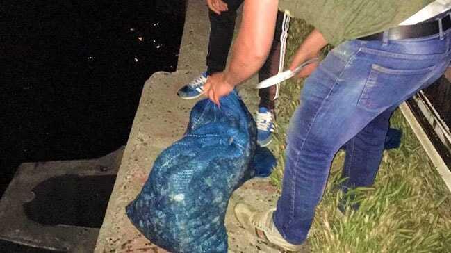 Tekirdağ'da 72 bin liralık kum midyesi ele geçirildi