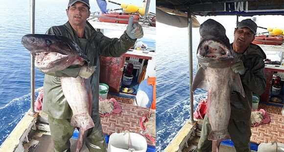 Antalyalı balıkçı yakaladı! 15 kilo