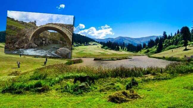 Vejetaryen Şehir Giresun