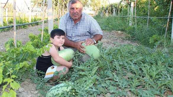 Suudi Arabistan'da gördü, Manisa'da üretti