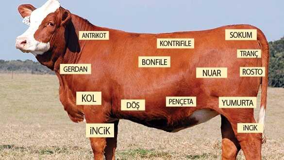 Dondurucuda lezzet var