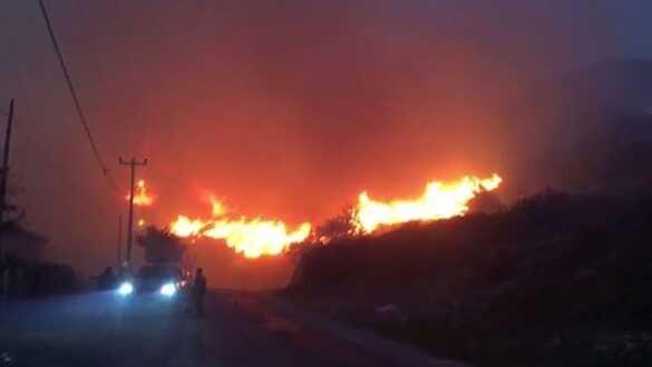 Marmara Adası'ndaki yangın kontrol altına alındı