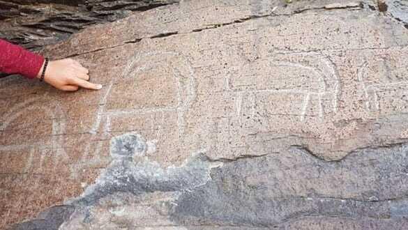 Kars'ta bulundu! Adı gizli tutuluyor