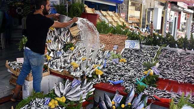Hamsinin yerini aldı! Kilosu 20 liraya satılıyor