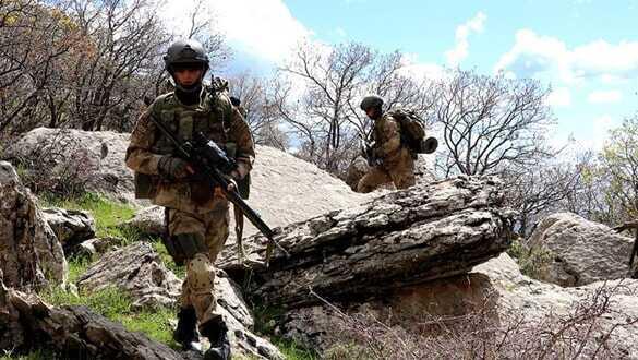 Bitlis'te 2 terörist etkisiz hale getirildi