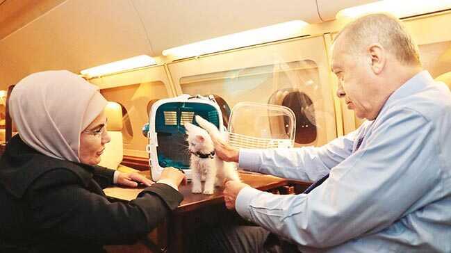 'Hayvanlar bizim en masum emanetimiz'