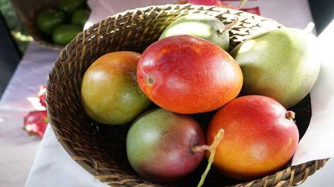 Tanesi 50 liraya satılan mango üreticinin yeni gözdesi