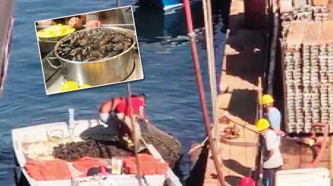 Zehirli midye çıkarıp halka yediriyorlar