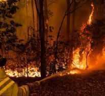 AK Parti�den �Avustralya yang�n�� a��klamas�