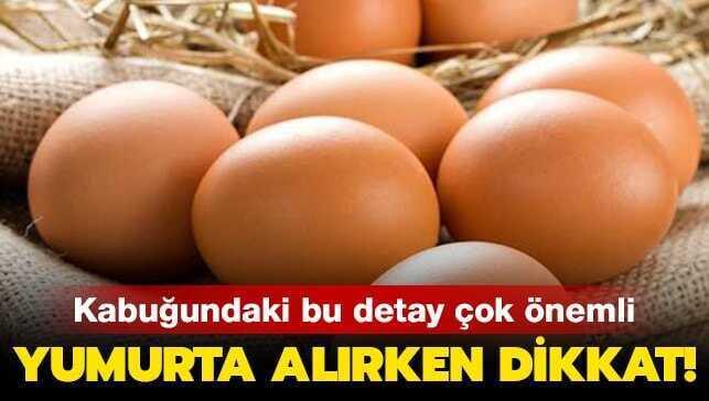 Yumurtan�n az bilinen ger�ekler