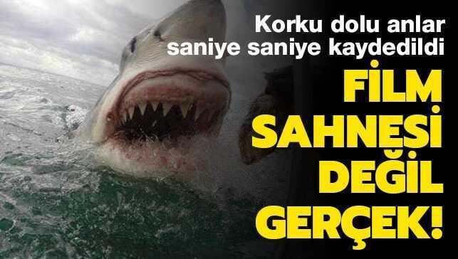 Do�ru zamanda �ekilmi� muhte�em kareler