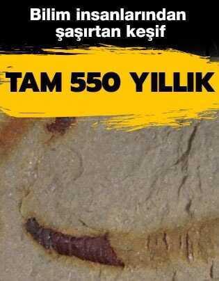 Bilim insanlar�ndan �a��rtan ke�if! Tam 550 y�ll�k 