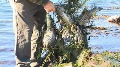 Sapanca'da 'hayalet a�' katliam�! Y�zlercesi telef oldu