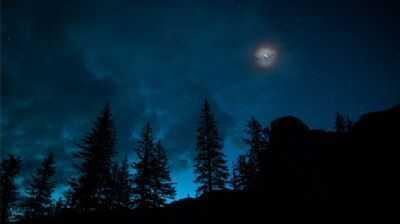 G�nl�k bur� yorumlar� 14 Ocak 2020 Sal�