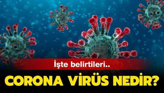 Korona virüsü nasıl tedavi edilir"