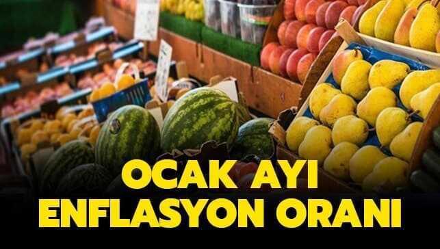 Enflasyon oranı açıklandı! 2020 Ocak enflasyon oranı ...