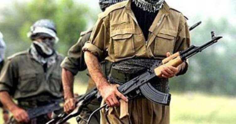 Teröristler dağa kaçıracaktı! Vali Memiş kurtardı