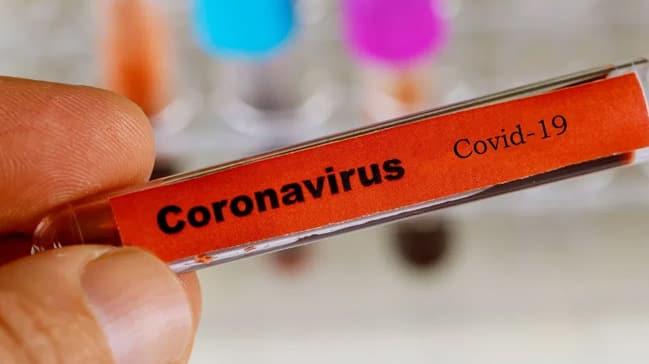 koronavirus ile ilgili görsel sonucu