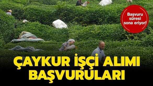 İŞKUR Çaykur işçi alımı şartları neler"