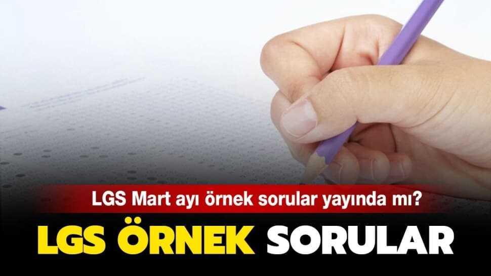 LGS Şubat ayı örnek sorular 2020 yayında