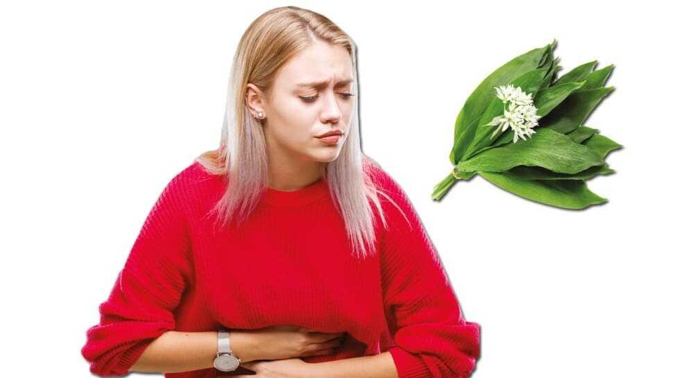 Midenin şifası ayı sarımsağı