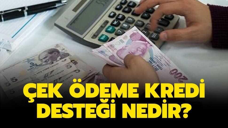 Çek ödeme destek kredisi nedir" Çek ödeme destek kredisi şartları nelerdir" İşte merak edilenler...