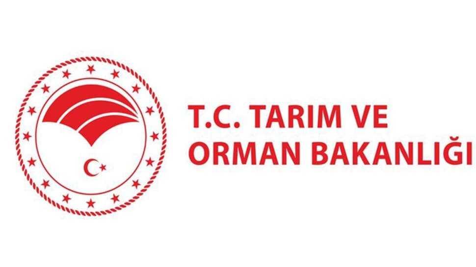 Personel alımı son dakika açıklamaları | Tarım ve Orman Bakanlığı personel alımı ne zaman yapılacak"